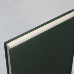 阿部泰山全集 第3巻の画像