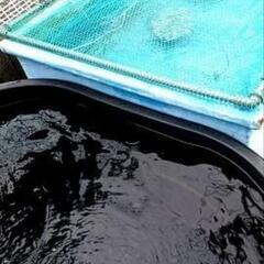【決定】【めだかや金魚に】FRP池（それぞれ約800L）