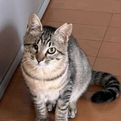 只今　トライアル中です。赤ちゃん声のJUJUちゃん − 福島県