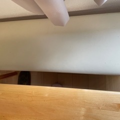 決まりましたの画像