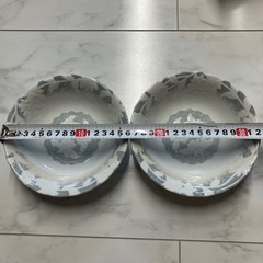 生活雑貨 食器 プレート　2点