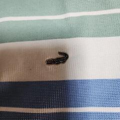 🐊クロコダイル夏のポロシャツの画像