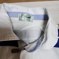 🐊クロコダイル夏のポロシャツの画像