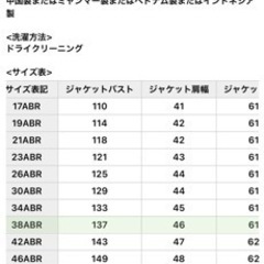 【試着のみタグ付き新品】ブラックフォーマル 喪服  セレモニー 大きいサイズ 2Wayの画像