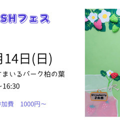 BRUSHフェス＊おひるねアート撮影会🍓⁡ ⁡