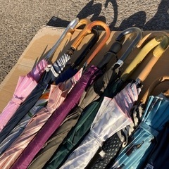 一本　300円　傘　選び放題！の画像