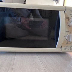 家電 キッチン家電 電子レンジ