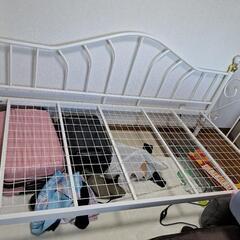 姫系シングルベット✨