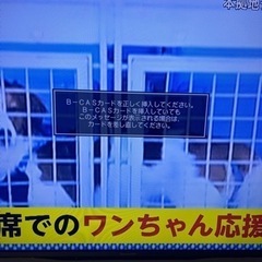 家電 テレビ 液晶テレビの画像