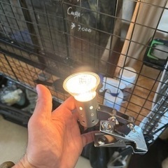 バスキングライト