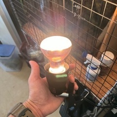 バスキングライト