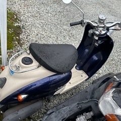 5AUビーノ‼️の画像