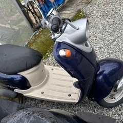 5AUビーノ‼️の画像