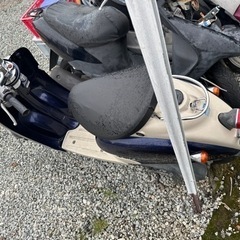 5AUビーノ‼️の画像