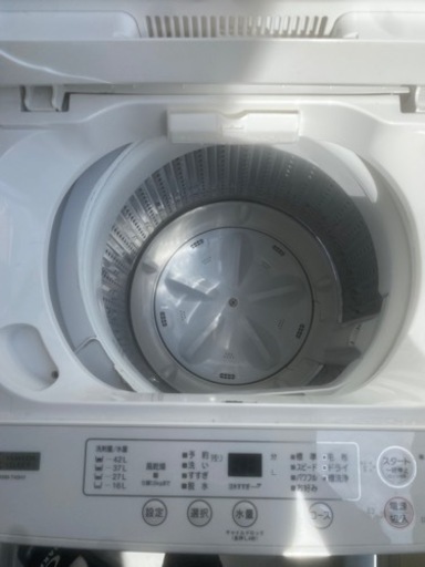 家電 生活家電 洗濯機