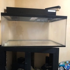 900の水槽セット