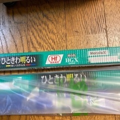 蛍光灯