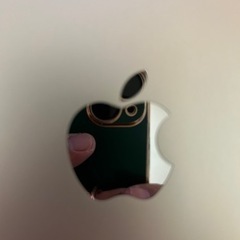 iPadPro12.9 5世代256GBの画像