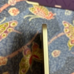 iPadPro12.9 5世代256GBの画像