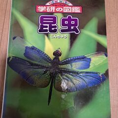 ★中古★昆虫図鑑