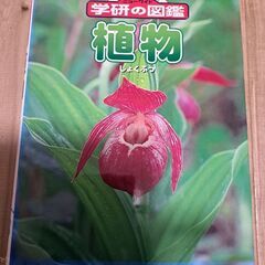 ★中古★植物図鑑