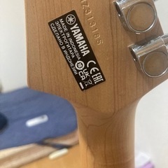 PACIFICA112V SPAC112V (YNS) の画像