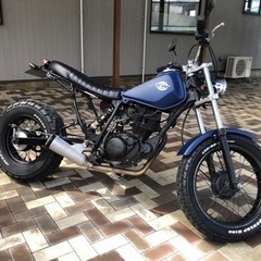 YAMAHA❗️TW200 2JL ロンスイ　スカチューン　マッドカラーの画像