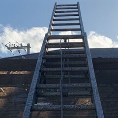 二連梯子の画像