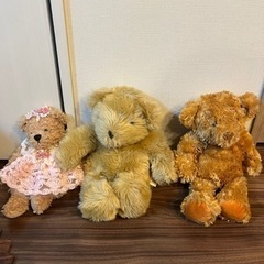 テディベアセット　　15体の画像