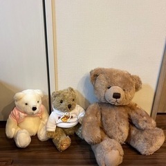 テディベアセット　　15体の画像
