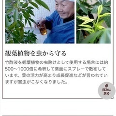 竹酢液他まとめ売り  観葉植物の画像