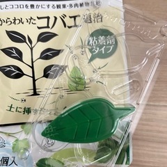 竹酢液他まとめ売り  観葉植物の画像