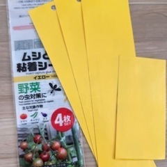 竹酢液他まとめ売り  観葉植物の画像