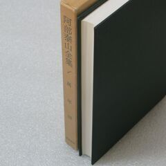 阿部泰山全集 第1巻の画像