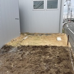 芝生あげます