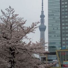 アラフィフ女子👩　市川船橋小岩　ランチカフェ - 友達