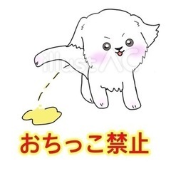 犬の散歩時の排尿•排便が不快です。