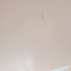 NITORI　ダイニングテーブルの画像