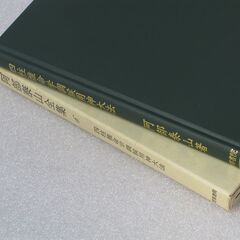 阿部泰山全集 第6巻の画像