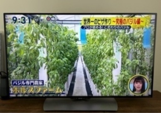 SHARP 50インチ液晶テレビ