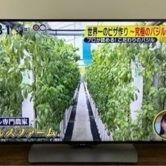 SHARP 50インチ液晶テレビ