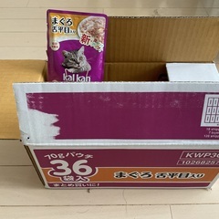 猫のえさ　Cat Food