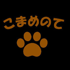 出前授業　セミナー　お話しします