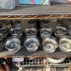 めだかの蓮音無人販売所　めだか販売　メダカ販売　ハンドメイド雑貨 - ペット