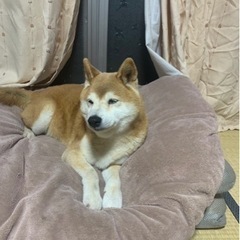 無事保護されました。ありがとうございます。代理投稿