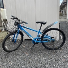 小学生男子　自転車の画像