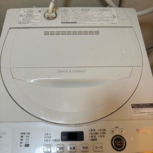 家電 生活家電 洗濯機