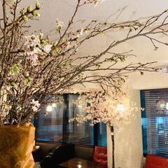 まだ間に合う！明日開催！【独身限定!!】屋内お花見交流会（3/31）参加者募集 - 渋谷区