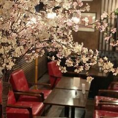 まだ間に合う！明日開催！【独身限定!!】屋内お花見交流会（3/31）参加者募集 - その他