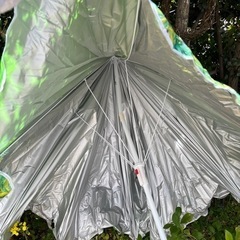 パラソル　グリーン葉っぱ柄の画像